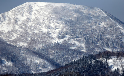 RAUSU, SHIRETOKO PENINSULA & NATIONAL PARK - HOKKAIDO JAPAN (38).JPG