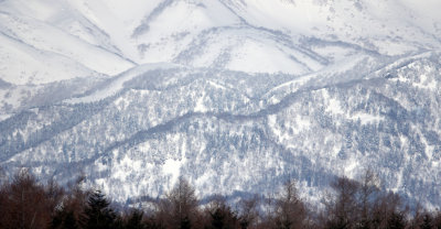 RAUSU, SHIRETOKO PENINSULA & NATIONAL PARK - HOKKAIDO JAPAN (42).JPG