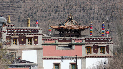 KUMBUN TEMPLE QINGHAI CHINA 2.jpg