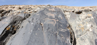 QINGHAI LAKE CHINA - PETROGLYPHS (17).JPG