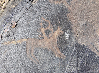 QINGHAI LAKE CHINA - PETROGLYPHS (6).JPG