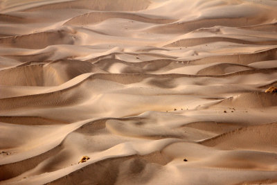 GANSU - DUNES SOUTH OF DUNHUANG - CHINA (23).JPG