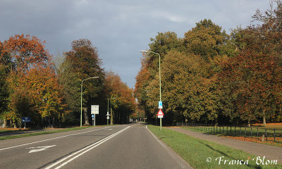 g2/62/980262/3/147047786.kg6os3Ru.jpg