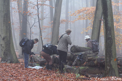 Op stap met natuurfotografen