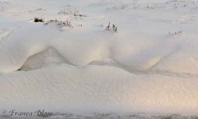 Nog een sneeuwwal langs een slootkant