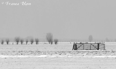 Sneeuwlandschap in de polder in zwartwit