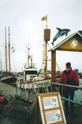 De boot voor de walvissafari in Husavik