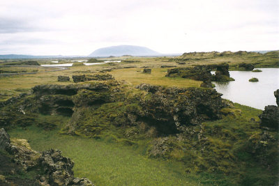 Myvatn - lavaformaties langs en in het meer