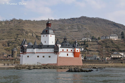 Tolburcht Pfalzgrafenstein