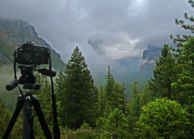 Yosemite valley camera