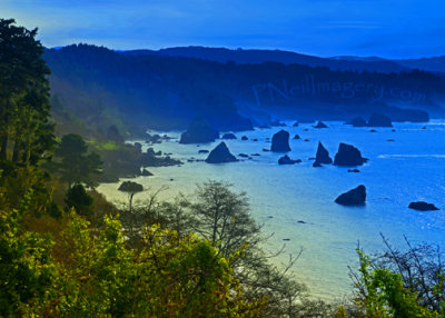 Norther CA Cove