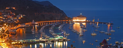 Avalon Harbor Pano Night