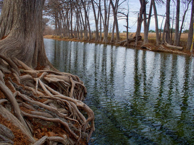 Drought 20 - Winter 2012-2013