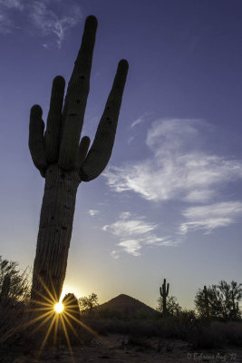 Scottsdale Sunrise AZ.jpg