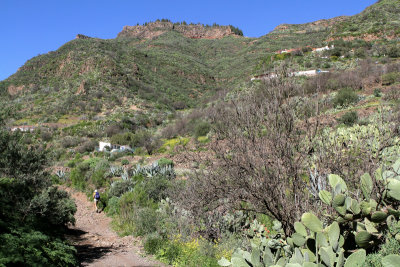 Barranco de Guayadeque 4.jpg