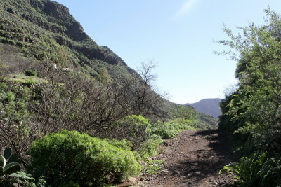 Barranco de Guayadeque 5.jpg