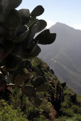 Prickly Pear on descent.jpg