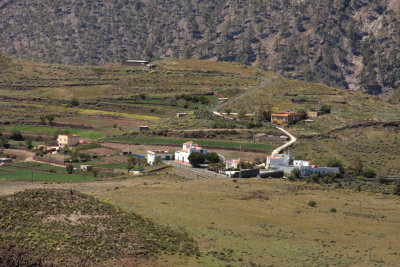 Acusa verde 2.jpg
