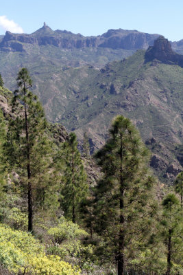 Artenara to Cruz de Acusa walk.jpg