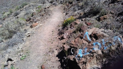Follow to Aldea.jpg