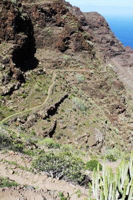 Path to Gui-Gui.jpg