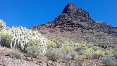 Uphill to Gui-Gui.jpg