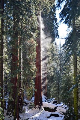 Sequoia and Kings Canyon National Parks, 2020, 2016