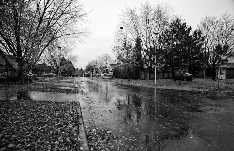 Rainy Autumn Morning