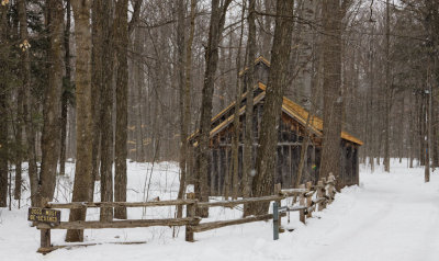 Sugar Shack