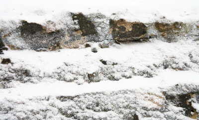 Wall