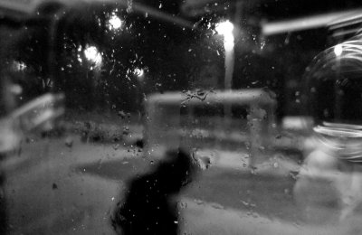 Bus Stop