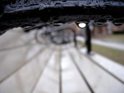 Rainy Day