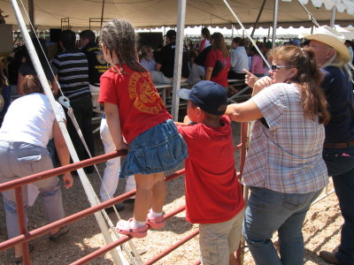 Watching the livestock auction at the fair