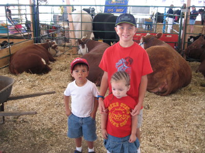 With the cows