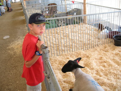 Jacob and a sheep