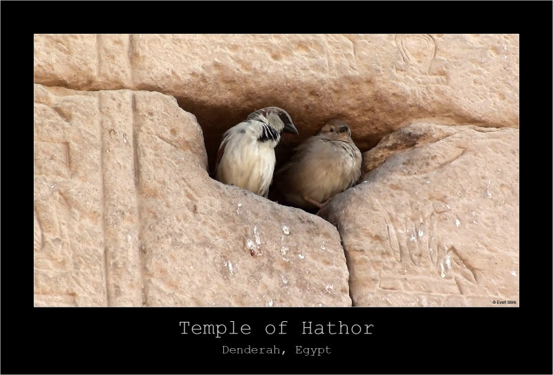 Denderah 04 - Temple of Hathor.jpg