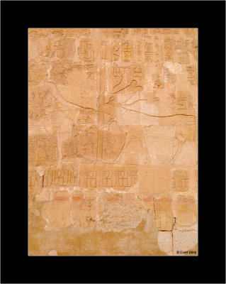 Hatshepsut 04c.jpg