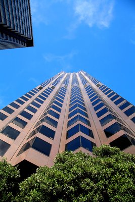 IMG_1909.jpg