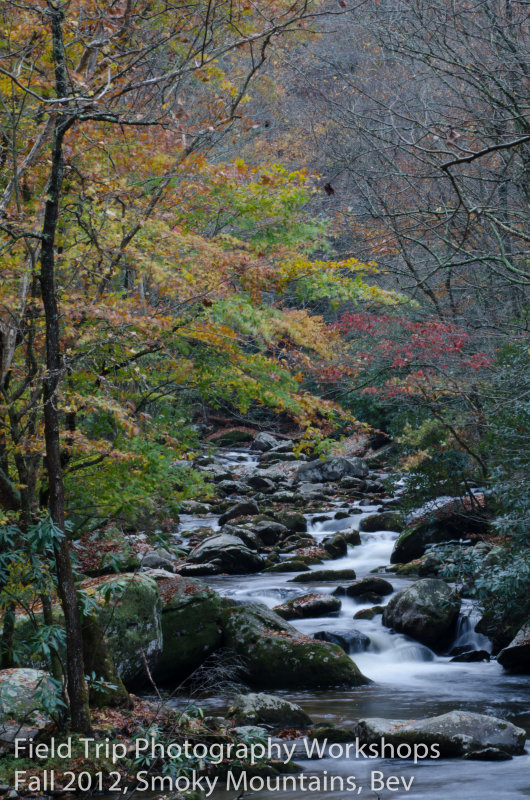 Bev _DSC9248.jpg