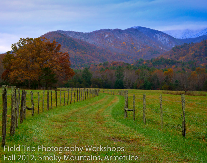 Armetrice DSC_0022_3_4HDR.jpg