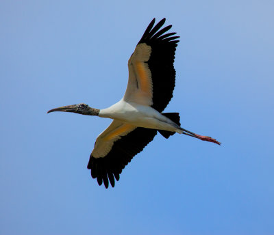 IMG_6696-Edit.jpg