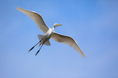 IMG_6739-Edit.jpg