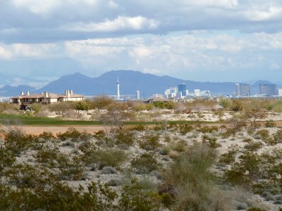 Bear's Best Golf 10.jpg