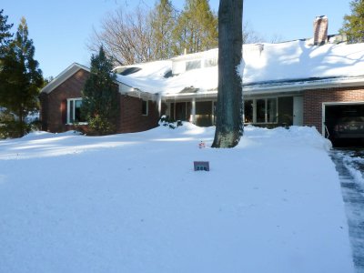 Xmas Blizzard 01.jpg