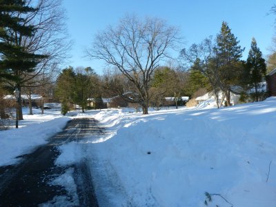 Xmas Blizzard 03.jpg