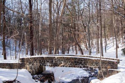 Snow in SM Reservation  03.jpg