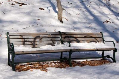 Snow in SM Reservation  04.jpg