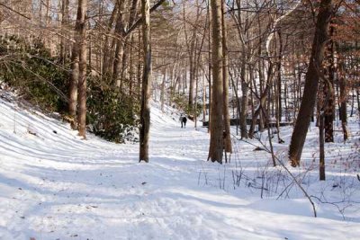 Snow in SM Reservation  20.jpg
