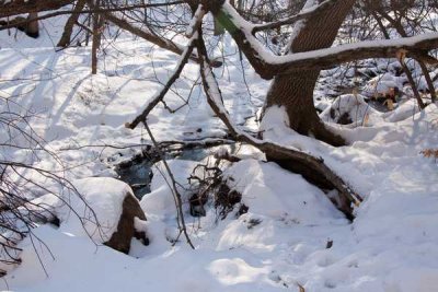 Snow in SM Reservation  21.jpg