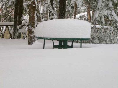 Snow Storm  02.jpg